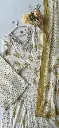 ps0387 (1).webp